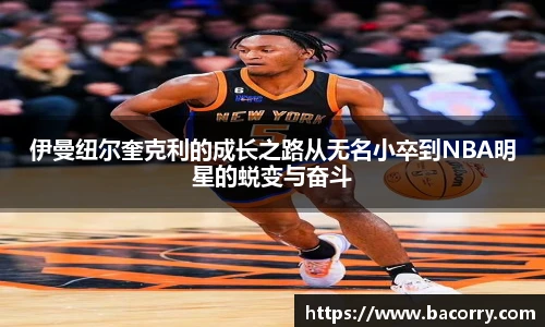 米兰·(milan)中国官方